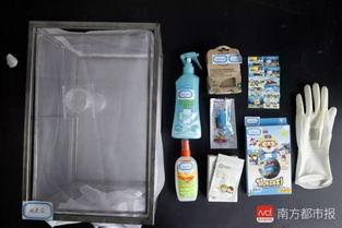网红防封膜,揭秘网络红人如何应对内容审查的神秘面纱