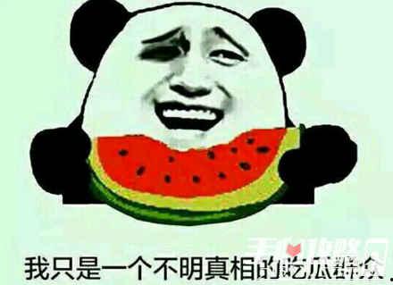 瓜梗怎样吃,探索创意瓜梗食用新方式