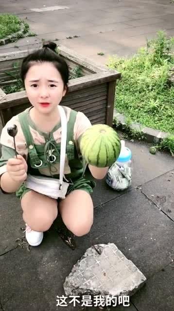 喵喵吃瓜大队,揭秘娱乐圈那些事儿