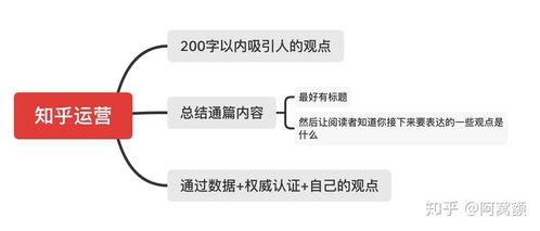 头条没有运营怎么办,无运营策略下的生存之道