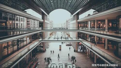 西安网红天鹅在哪里买,揭秘购买攻略