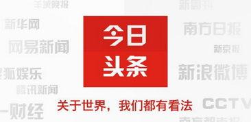 优化头条,如何打造爆款内容，提升阅读量与互动率